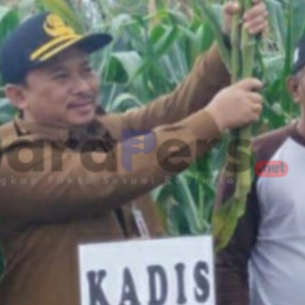 Ketahanan Pangan dan Pertanian mengapreasiasi dan menyambut baik kepada (Dandim) 0827 Sumenep