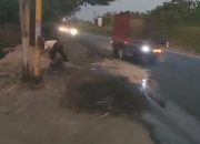 Tumpahan Zat Cair Diduga Dari PT. ENERO Energi Agro Nusantara, Mengakibatkan Pengendara Celaka
