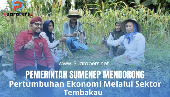 Diskoperindag Sumenep, Mendorong Pertumbuhan Ekonomi Melalui Sektor Tembakau