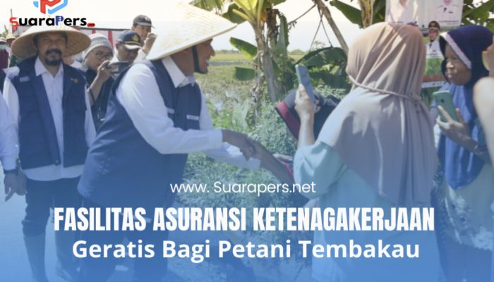 Jamin Petani Tembakau dengan Asuransi Kerja Gratis, Oleh Pemerintah Sumenep