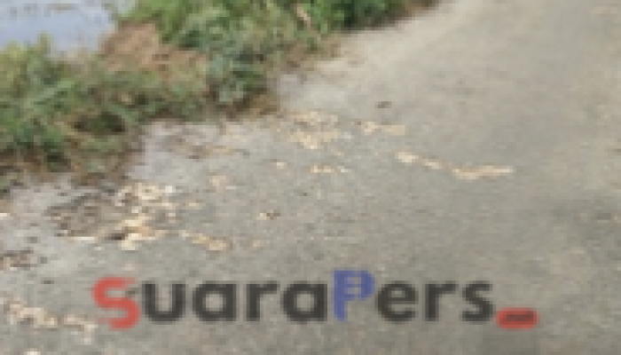 Jalan Desa Patean Rusak Parah Padahal Baru Diaspal, Warga Desak Pemeriksaan