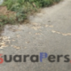 Jalan Desa Patean Rusak Parah Padahal Baru Diaspal, Warga Desak Pemeriksaan