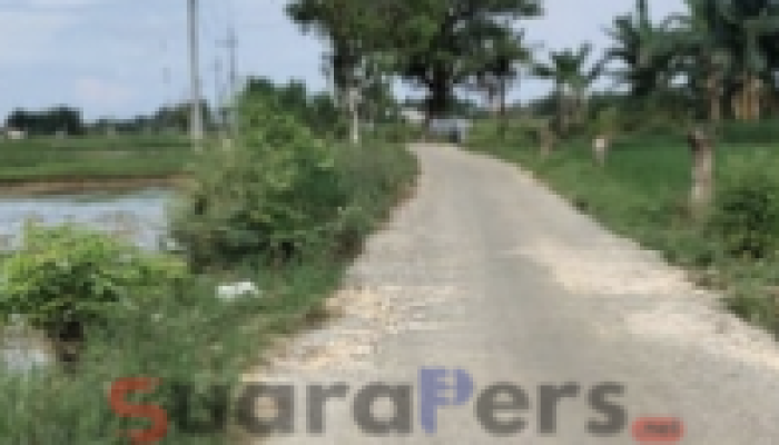 Kemana Rp250 Juta Itu Pergi? Jalan Desa Patean Retak dan Berlubang Lagi!