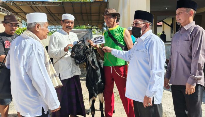 34 Hewan Kurban Dibagikan di Sumenep, Pemerintah Pastikan Tepat Sasaran