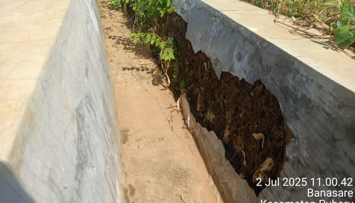 Baru Setahun Dibangun, Irigasi Banasare Ambruk: Uang Negara Diduga Dikorupsi