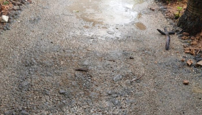 Pengaspalan Jalan di Totosan Diduga Asal Jadi, LSM Soroti Proyek Tanpa Papan Informasi