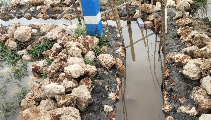 Kualitas Proyek P3-TGAI di Desa Patean Diragukan, Diduga Tak Sesuai RAB