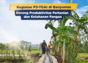 Progam P3-TGAI di Nambekor Mandek, Pendamping Dianggap Lalai Mengawasi