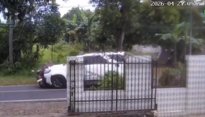 BREAKING NEWS: Mobil Putih Tabrak Ibu Rumah Tangga di Manding Sumenep