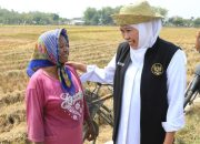 Khofifah Apresiasi Petani Jatim di Hari Tani Nasional 2026