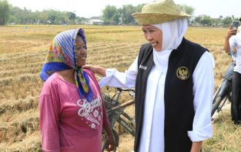 Khofifah Apresiasi Petani Jatim di Hari Tani Nasional 2026