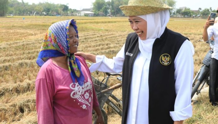 Khofifah Apresiasi Petani Jatim di Hari Tani Nasional 2026
