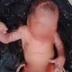 Tangisan Bayi Pecah di Pagi Buta, Warga Prenduan Sumenep Temukan Bayi di Pinggir Jalan